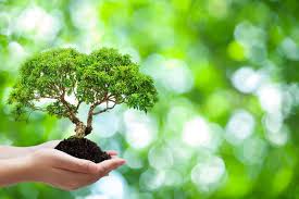Environmental Environmental